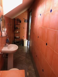 Serangoon Garden Estate (D19), Terrace #444646741